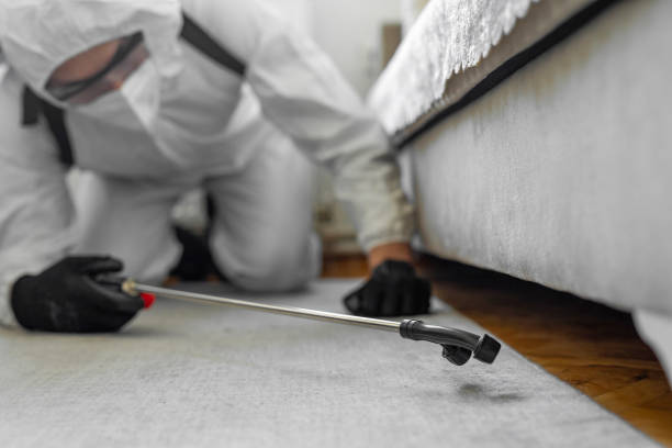 Professional Wasp Control technician working in Woodstown, NJ