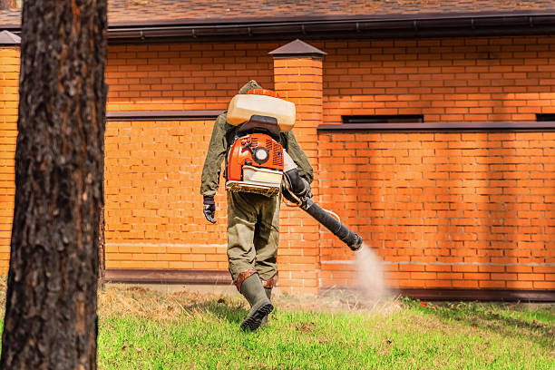 Trusted Rodent Control service in Woodstown, NJ - Nex Pest Control
